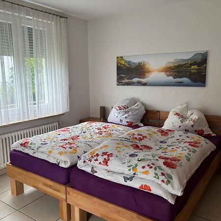 Klettgauperle - Familien- Und Behindertengerechte Ferienwohnung Griessen Zewnętrze zdjęcie